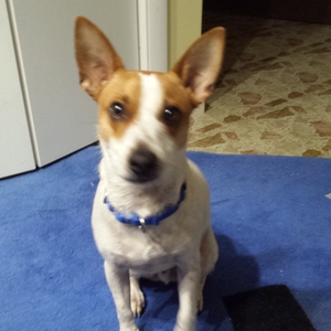 Fundraising Page: Leslie Brown